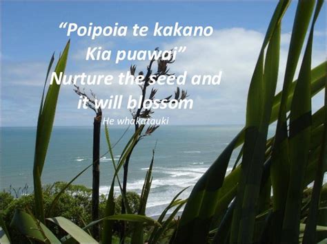 Whakatauki - Proverbs