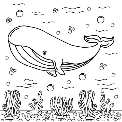 Whale Coloring