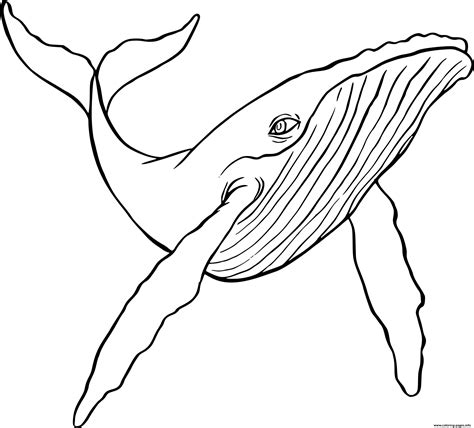 Whale Printable Coloring Pages