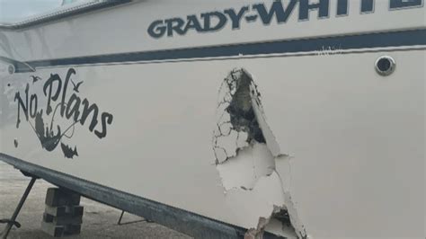 Whale Punches Hole in Fishing Boat Off Rhode Island – NECN