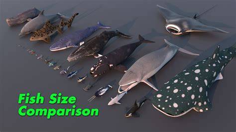 Whale fish size.  Among these intriguing beings is the elusive Whalefish.  Fi...