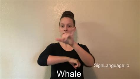 Whale in ASL American Sign Language 2 Video Examples