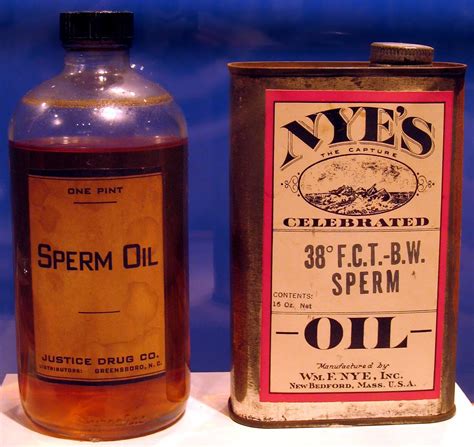 Whale oil as lubricant