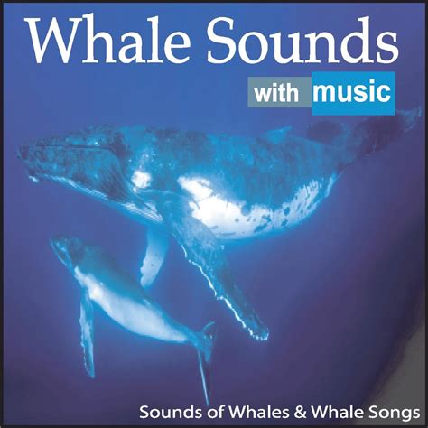 Whale singing sounds. Whale vocalizations are the sounds made by whales to communicate. The word " song " is used in particular to describe the pattern of regular and predictable sounds made by some species of whales (notably the humpback and … 