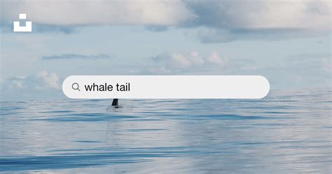 Whale tail lady pics.  Unsplash logo.  #whaletail #whaletails #thong #lowrider ...