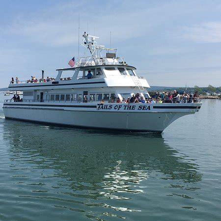 Whale watch plymouth ma. Capt. John Whale Watching Tours 10 Town Wharf, Plymouth, MA 02360 Phone: (508) 746-2643 Get $3 off adult and children tickets. 