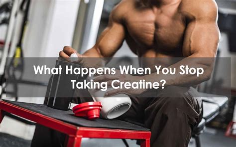 th?q=What Happens if You Don't Take Creatine for a Day?