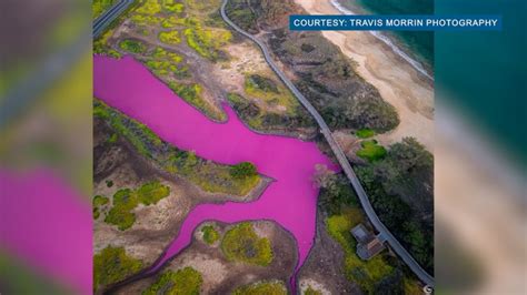 What's causing this pink pond on Maui?