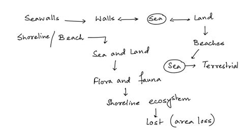 What's one indirect consequence of building seawalls? Question 2 options: A) The shoreline habitat is destroyed through loss of sand. B) It causes an excess amount of fertilizer to become stuck in the sand. C) It rises the sea level, which infiltrates groundwater aquifers. D) It increases the frequency of algal blooms.. 