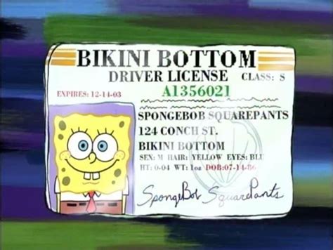 Overcome with guilt, Mrs. Puff stole the boat, but SpongeBob tried to stop her and they crashed the boat. Mrs. Puff was taken to jail and SpongeBob’s license was revoked. Season 9’s episode “SpongeBob LongPants” also saw SpongeBob getting his license, though for less exciting reasons. After buying long pants, his personality …