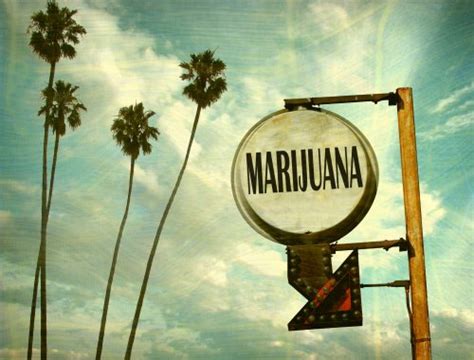 What’s Trending in the California Cannabis Scene 2023