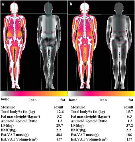 What’s the deal with this visceral fat number on my InBody scan?