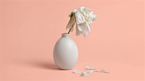 What Ambiguous Loss Means Plus Tips for Coping Everyday Health