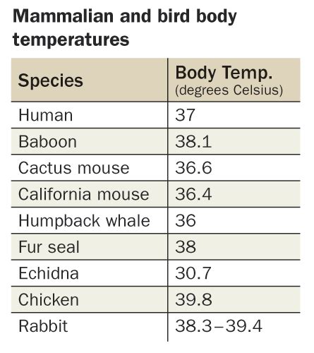 What Animal Has The Highest Body Temp? : r/askscience - Reddit