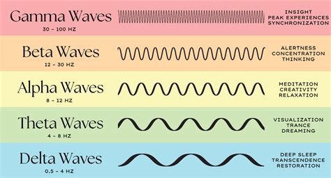 What Are Alpha Beta Theta and Delta Waves? - Stamina Comfort