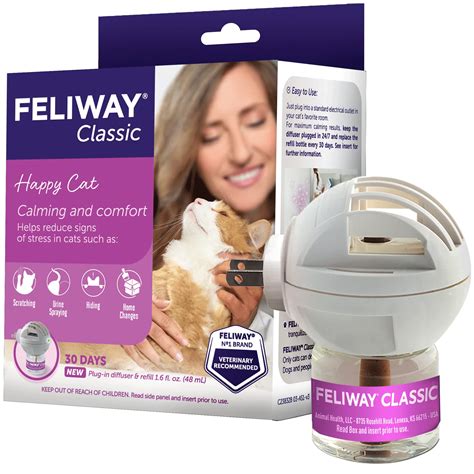 What Are Cat Pheromones? - Feliway