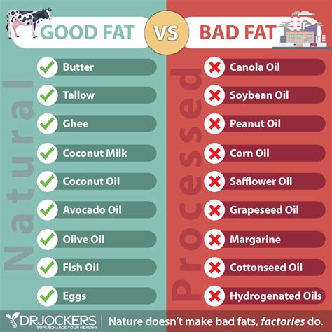 What Are Good Fats, Bad Fats and the Ugly Fats? - Medichecks