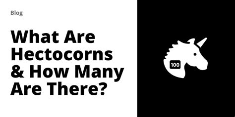 What Are Hectocorns & How Many Are There? - Failory