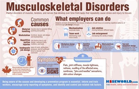 What Are Musculoskeletal Disorders & How to Treat Them? Broadview