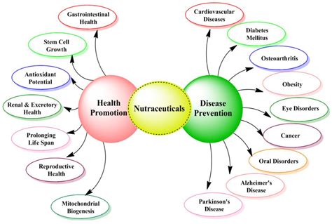What Are Nutraceuticals 