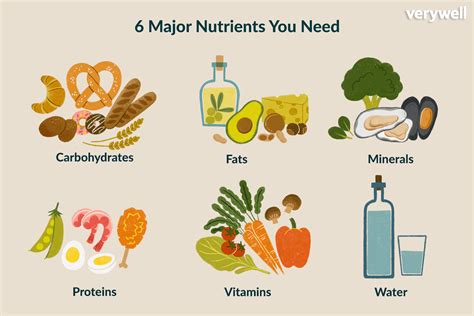 What Are Nutrients and Why Do You Need Them 