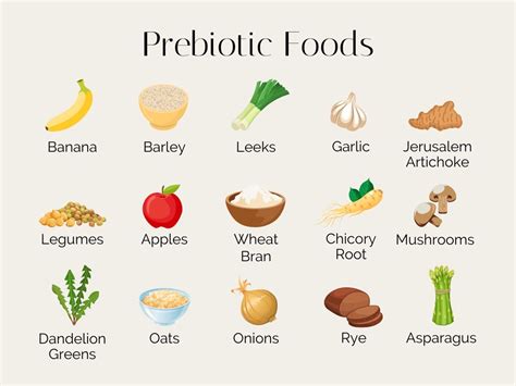 What Are Prebiotics? - WTOP News