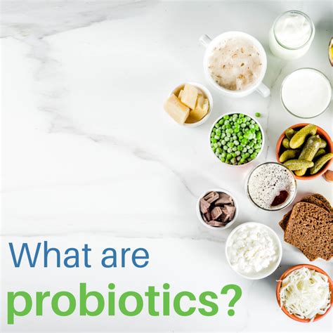 What Are Probiotics