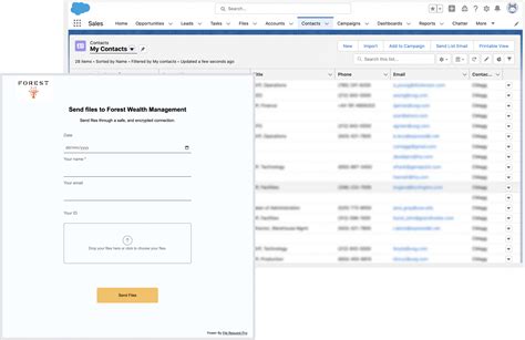 What Are Salesforce Forms