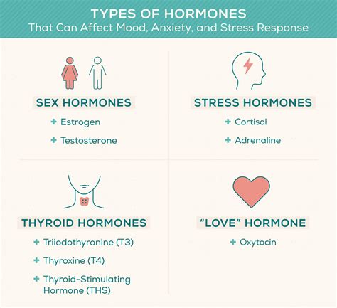 What Are Stress Hormones and How Do They Impact …