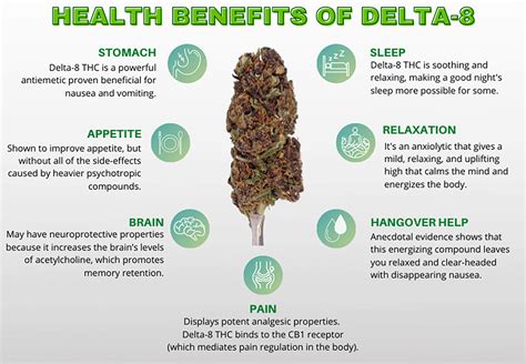 What Are The Possible Side Effects of Taking Delta-8 THC?
