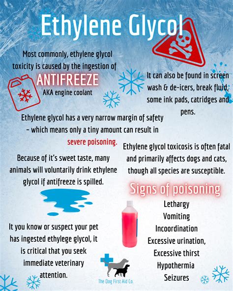 What Are The Symptoms of Antifreeze Poisoning in Humans?