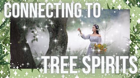 What Are Tree Spirits and How To Connect With Them