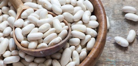 What Are the Benefits of Great Northern Beans?