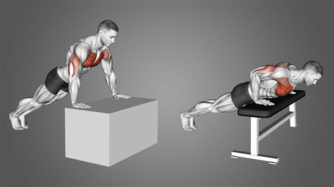 What Are the Benefits of Incline Pushups? Woman - The Nest