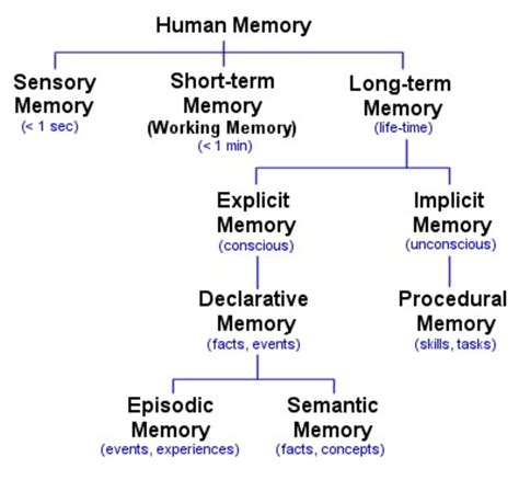 What Are the Brain Mechanisms on Which Psychological …