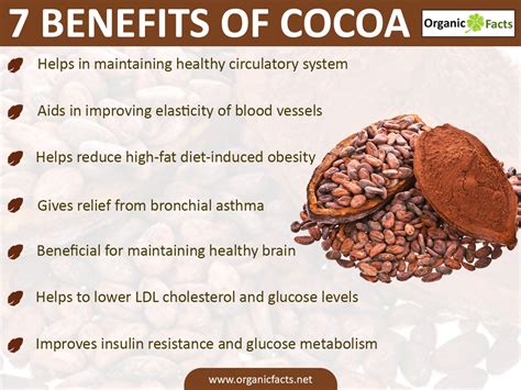 What Are the Health Benefits of Cocoa & Coffee?