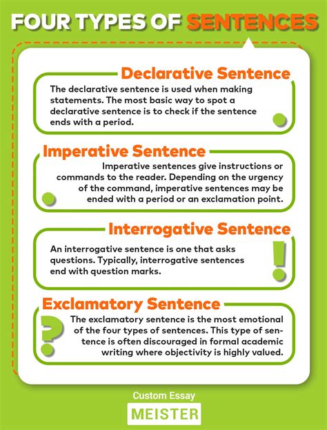 What Are the Main Types of Sentences? Know Here - College Essay