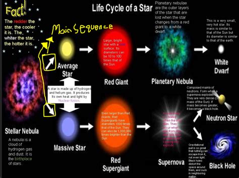 What Best Describes a Main Sequence Star