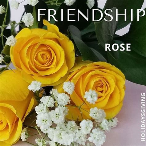 What Color Are Friendship Flowers? - grafixfather.com