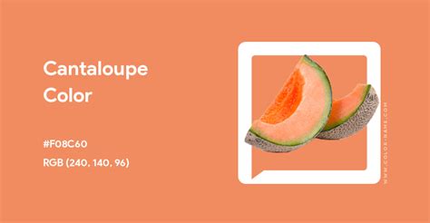 What Color Is Cantaloupe