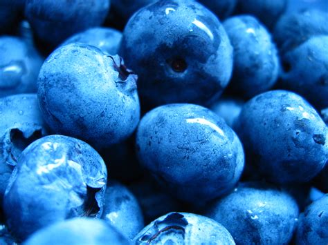 What Color are Blueberries