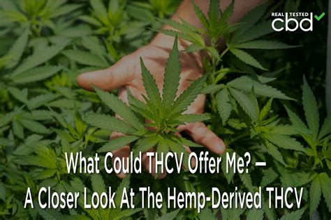 What Could THCV Offer Me? — A Closer Look At The Hemp-Derived THCV