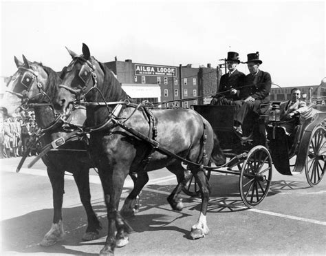 What Did Horses Do In The Industrial Revolution?