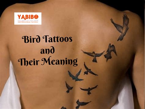 What Do Bird Tattoos Symbolize Design Talk