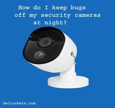 What Do Bugs Look Like On Night Vision Camera