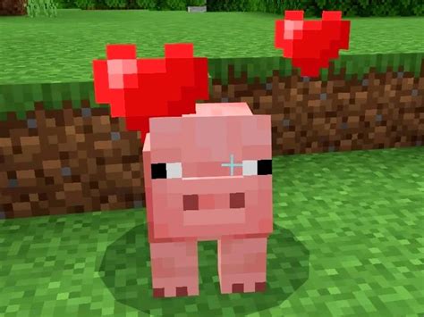 What Do Pigs Eat In Minecraft? VGKAMI