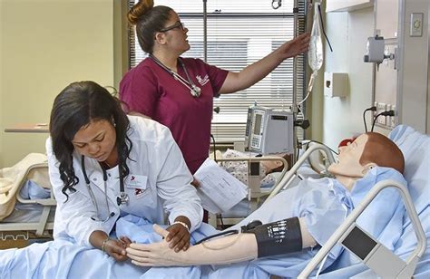 What Do They Do Nurses