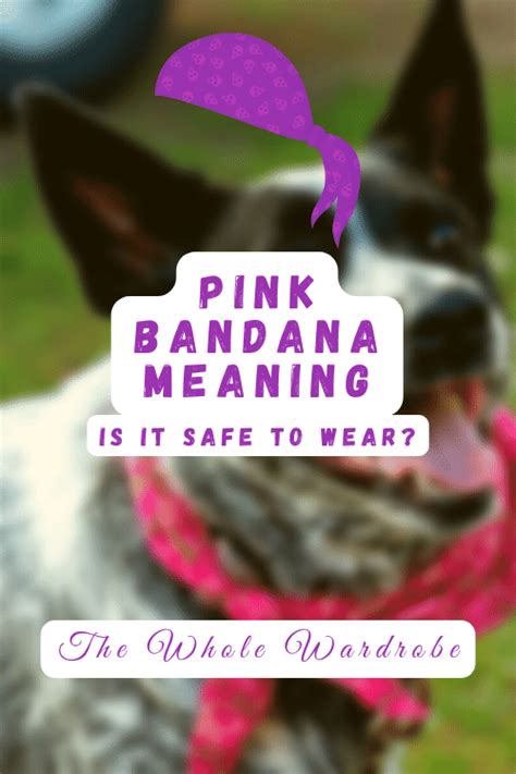 What Does Bandana Mean For Dogs