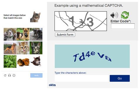 What Does CAPTCHA Mean? CAPTCHA Types & Examples