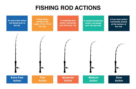 What Does Fishing Rod Action Mean? - Coastal Fishing